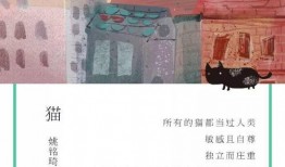 少年的你最新爆料文案,揭秘校园霸凌背后的真相与勇气