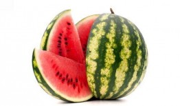 西瓜视频创作园爆料,揭秘热门视频背后的创作故事