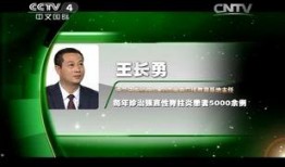 王长勇互相爆料视频在线观看,揭秘背后真相与争议