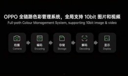 视频拍摄发爆料怎么处理,如何确保信息真实与安全